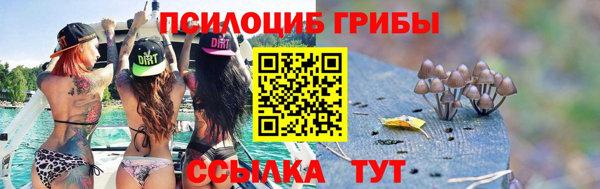 Галлюциногенные грибы GOLDEN TEACHER  Вход с VPN  Усть-Джегута 